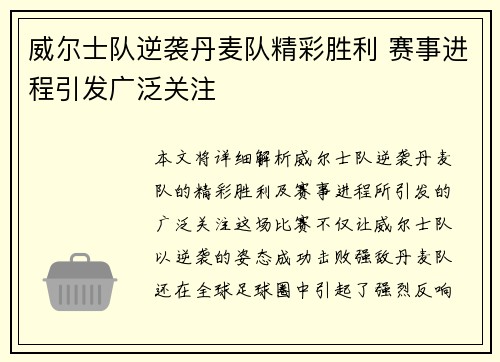 威尔士队逆袭丹麦队精彩胜利 赛事进程引发广泛关注